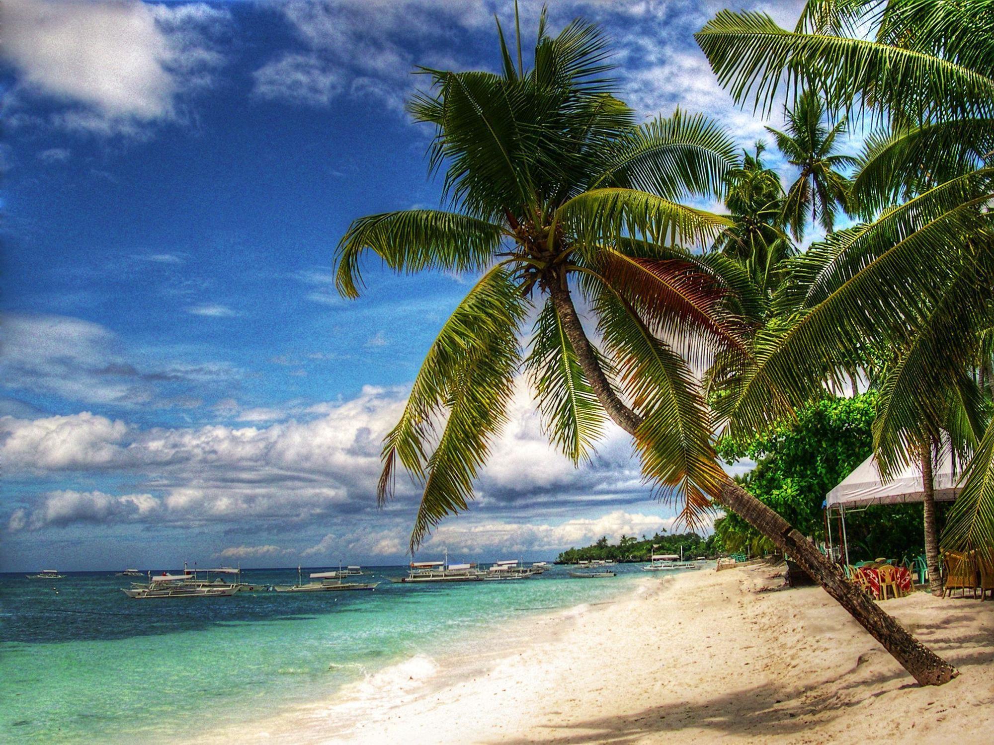 Alona Hidden Dream Resort Panglao Kültér fotó